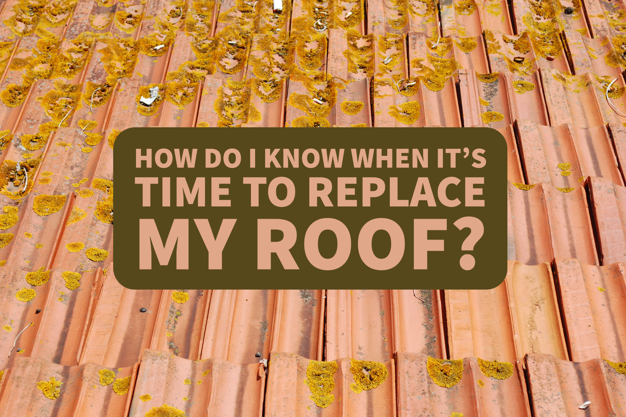 How Do I Know When It’s Time to Replace My Roof?