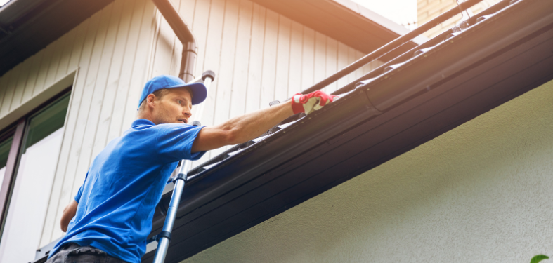 G. Fedale Roofing and Siding Summer Home Maintenance