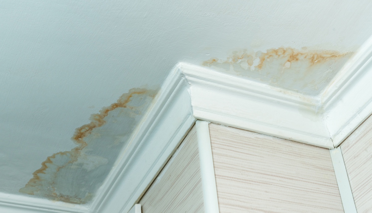 Ceiling with Water Damage