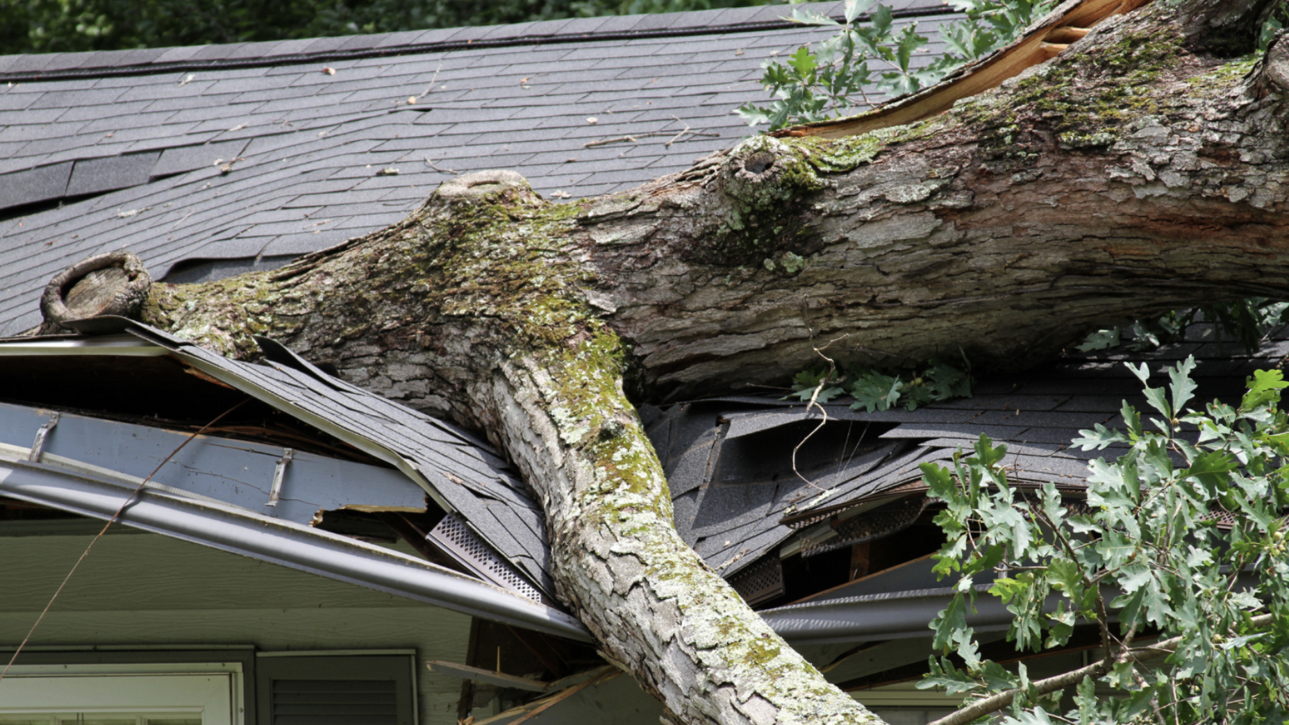 Common Types of Storm Damage and How to Address Them 