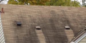 Black algae stains on a brown shingle roof