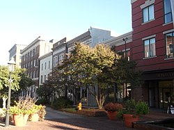 A scenic view of Main Street in Salisbury, MD, featuring a row of historic buildings with a mix of modern and traditional architectural styles. The street is lined with trees and planters, creating a welcoming and vibrant atmosphere.